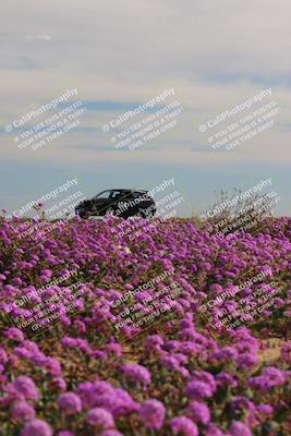 media/Jan-08-2023-SCCA SD (Sun) [[8f6a5b9391]]/Intermediate Group/Session 2 (Short Straight)/